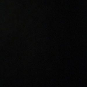 Meet your Posher, Beau